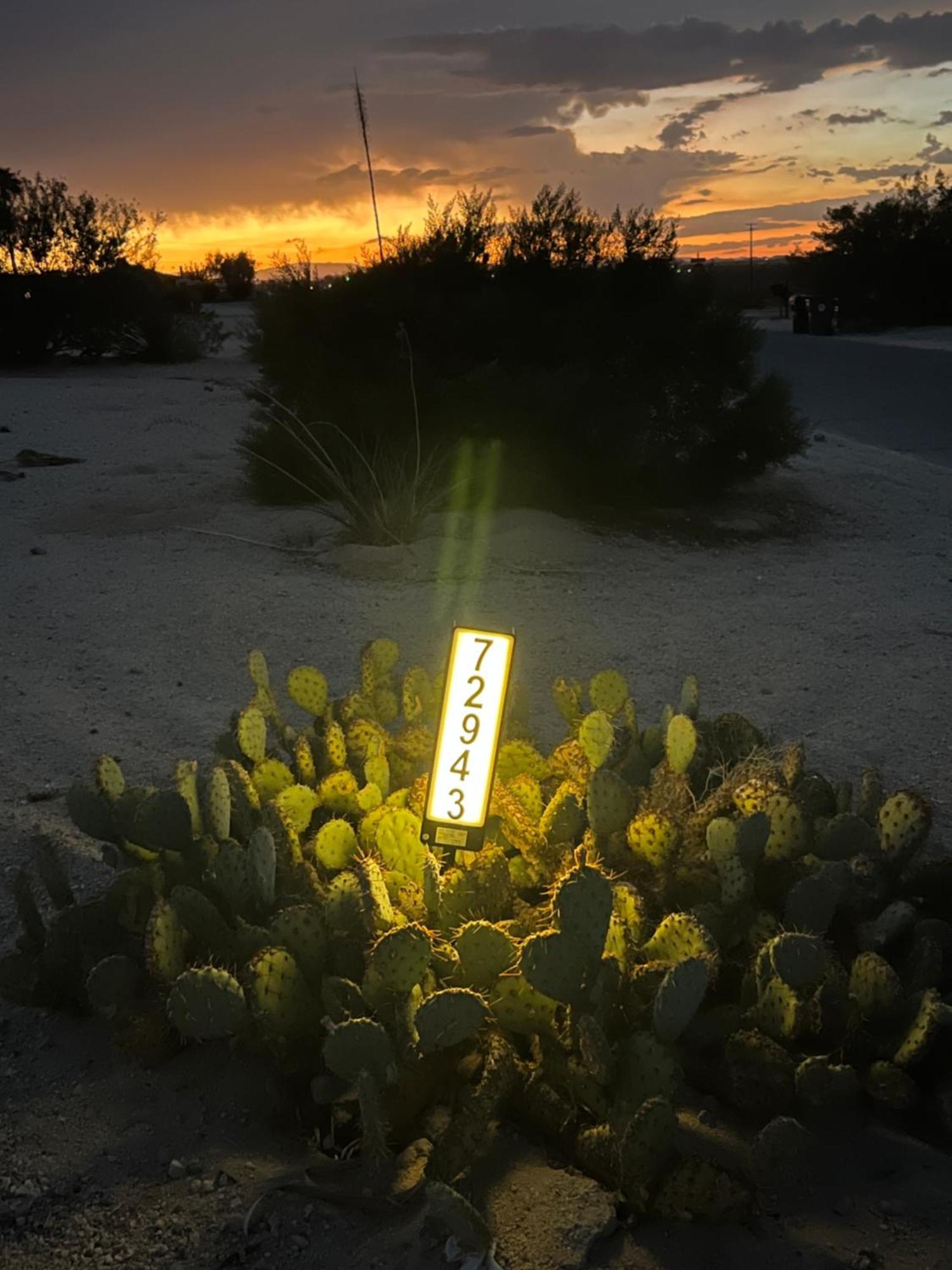 Bodhi House, Joshua Tree National Park Hostel Twentynine Palms Εξωτερικό φωτογραφία